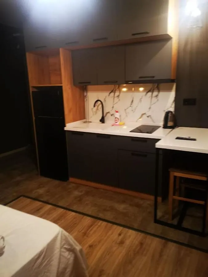 Goodwill Apartments L 319 Тбилиси